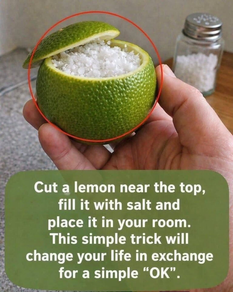 Lemon and Salt Trick: A Natural Home Remedy to Purify Your Space